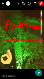 add emoji and text to photos and videos in whatsapp