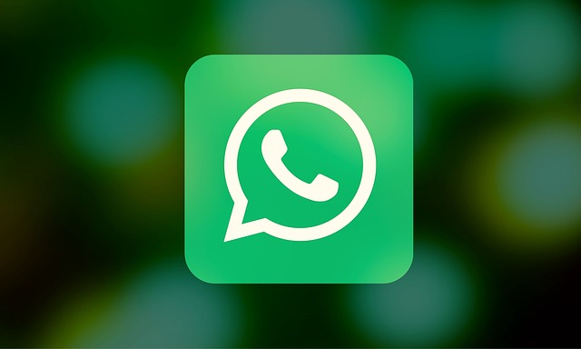 How to view someone’s WhatsApp status without letting them know